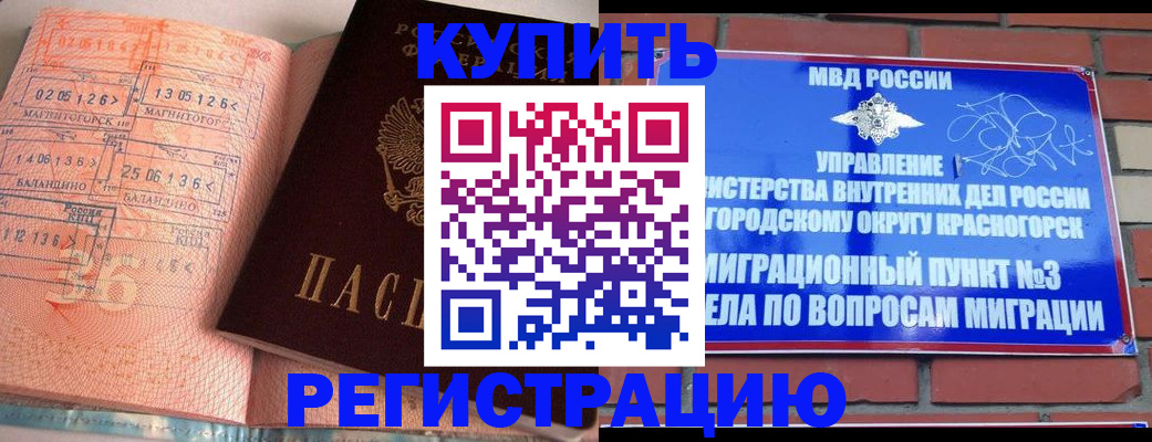 прописка 2025 в Клинцах